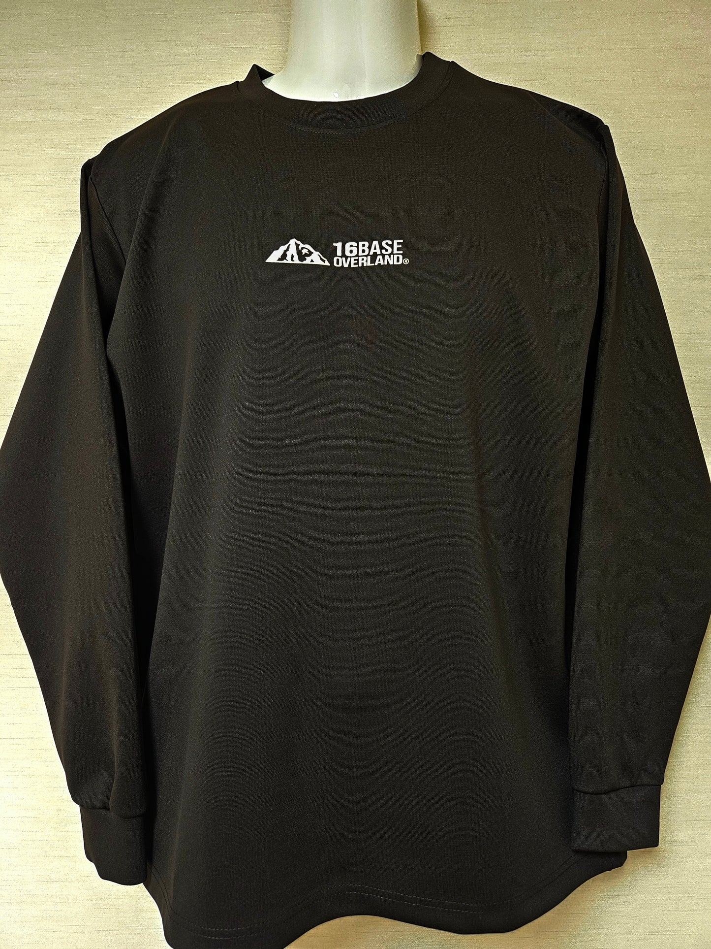 2025年秋 新作 厚手ロンT